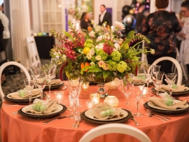 Cage and Aquarium Photography