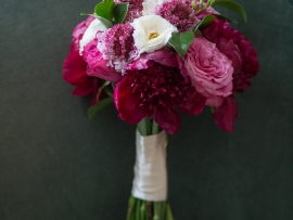 Daniela Cardili Photography